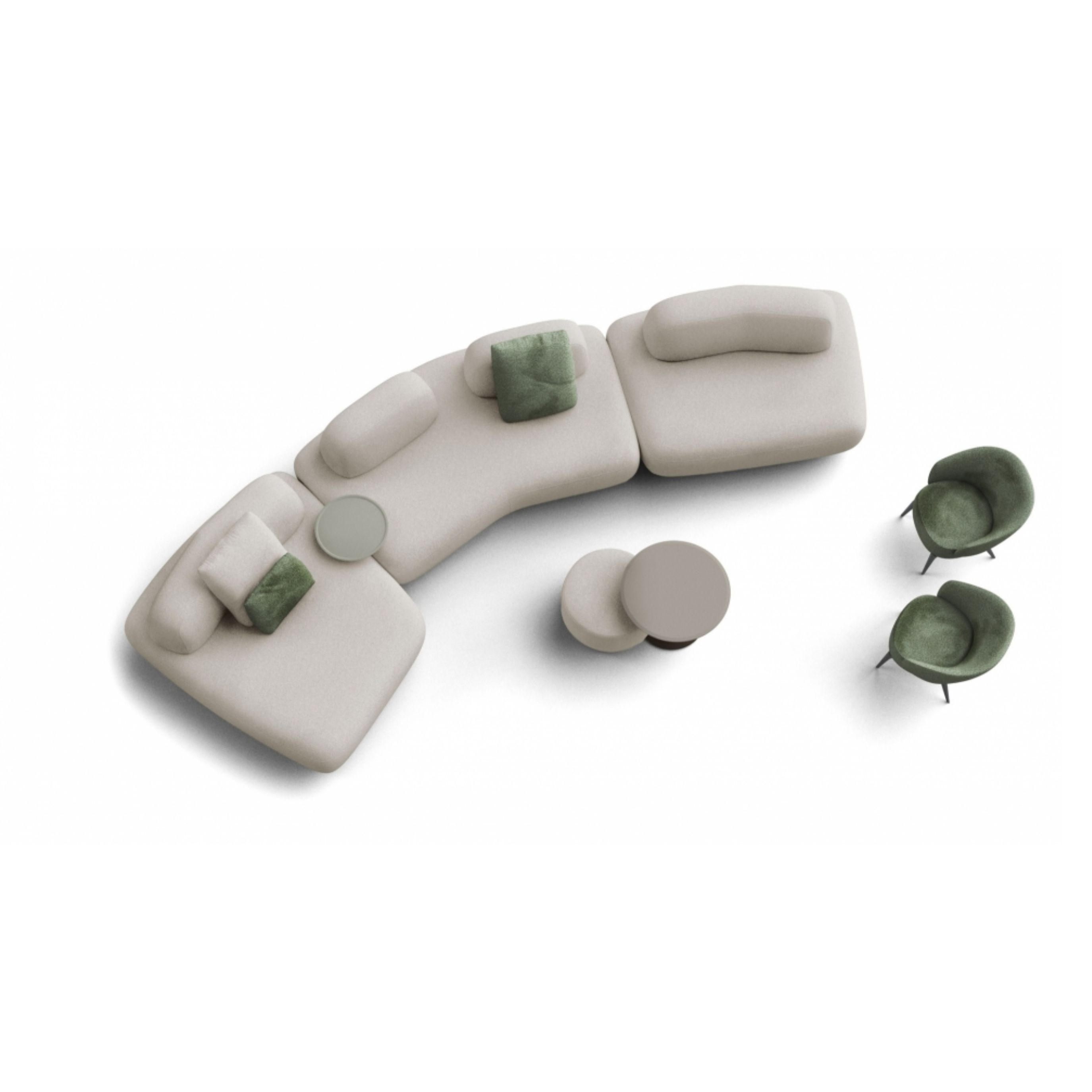 Curve Sectional